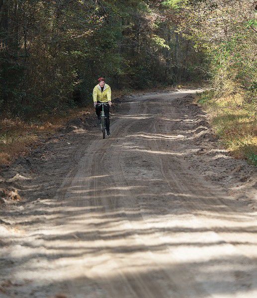 Cyclist on a rural road